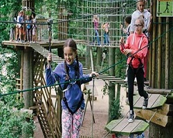 go ape.jpg